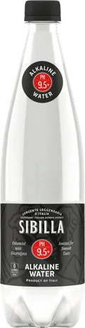 מים אלקליים 9.5 pH 1 ליטר